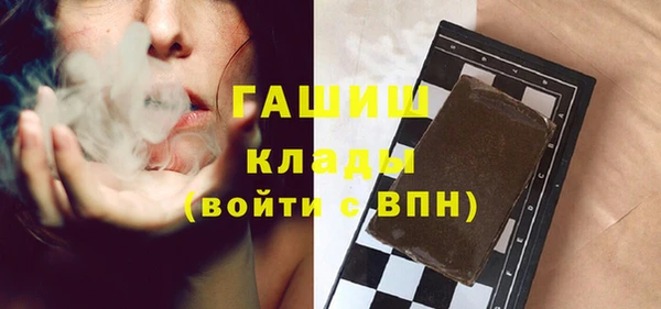 apvp Каменка