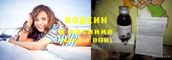 apvp Каменка