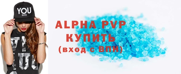 apvp Каменка