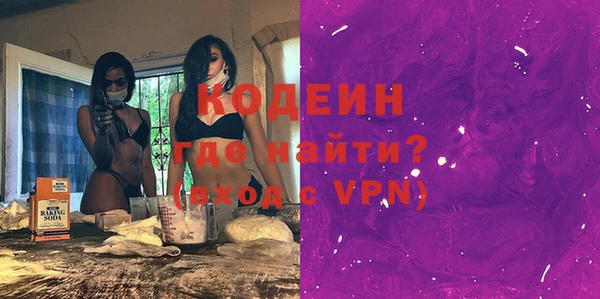 apvp Каменка