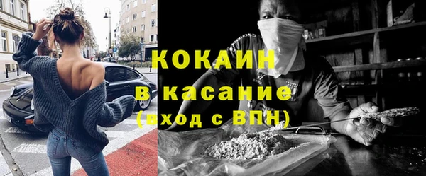 apvp Каменка