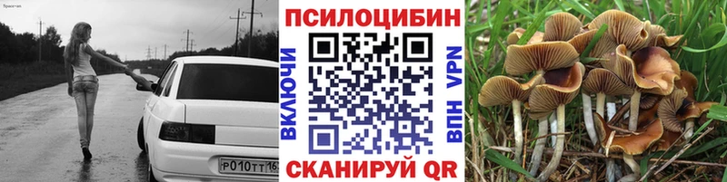 Псилоцибиновые грибы Psilocybine cubensis Камень-на-Оби
